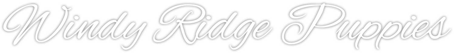 Windy Ridge Puppies logo